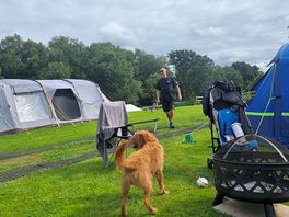 Dog friendly
