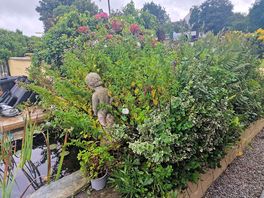 Little garden area near the shop