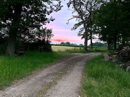 Lane