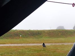 View from the tent
