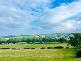 Beautiful view from just out the site