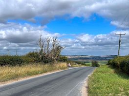 Country roads