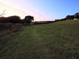 Beside lake