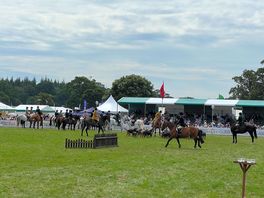 New forest & hampshire county show