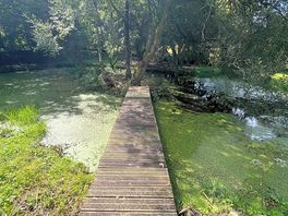 Bridge to little island in middle of pond