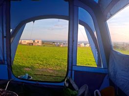 Reading with a view
