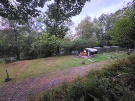 View from the forest area looking down on our shed.