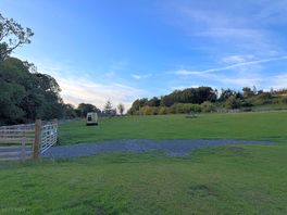 View of field