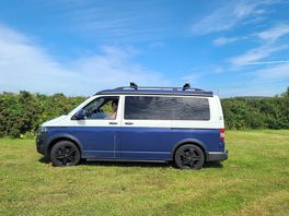 A bad boy in the middle of this campsite!