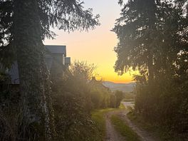 Evening stroll