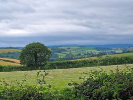 Beautiful view from the dog play area