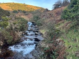 Within ride/walking distance from campsite