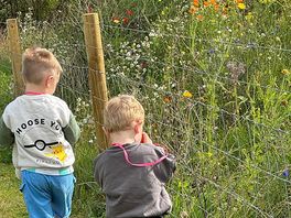 Searching for wildlife