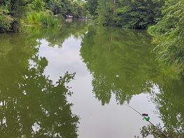 View perfect