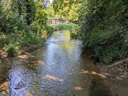 Sights in nearby walkway