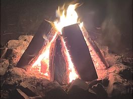 Logs sold on site