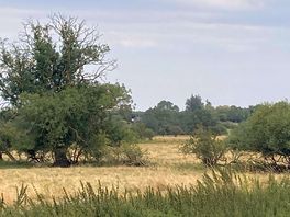 Riverbank walk