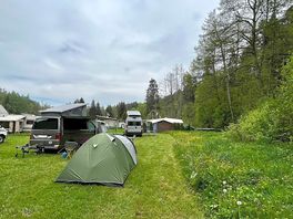 Pitches surrounded by trees