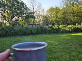 Lovely morning