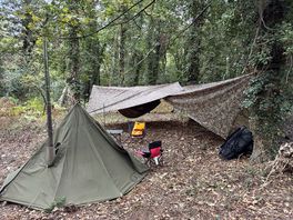 Loved the woodland for my set up, it offered the perfect space.