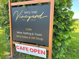 Nearby vineyard