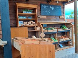 Fresh free range eggs and vegetables on sale outside of the shop