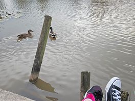Lovely lake where we enjoyed watching the ducks.