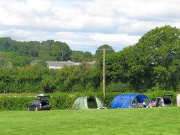 View of the pitches