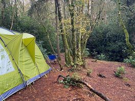 Camp