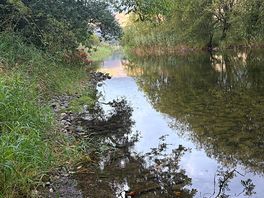 River crake