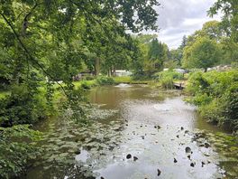 The fishing pond