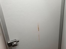Poo on the door