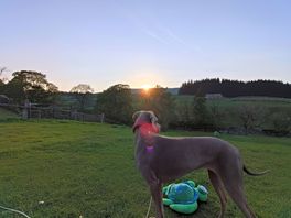 Gorgeous sunset