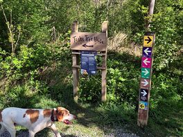 Fineshade woods. expensive to park camper £11 cars cheaper. best to go early as became very busy
