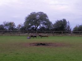 The fire pit, perfect for them night time catch-ups