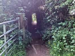 Walk to local pub