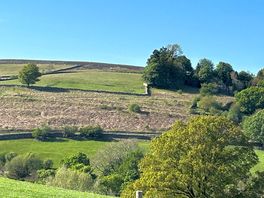 View from our caravan