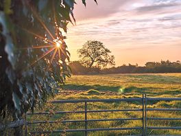 Morning sunrise view