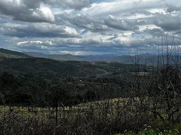 Ruta