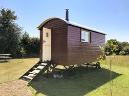 Robin exterior