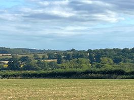 Campsite view