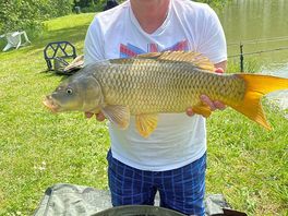 Carp caught in the bottom lake