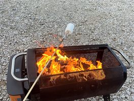 Marshmallows on the fire