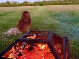 Fire pit bliss