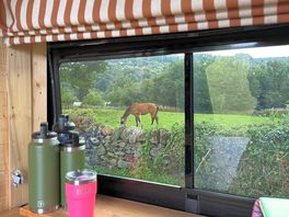 Morning view!