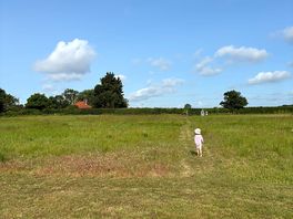 Lots of room to play in central meadow