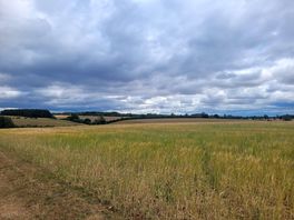 Farm walk