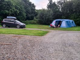 Our pitch