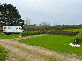 In full sun with hedges on three sides