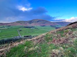 Hill next to site